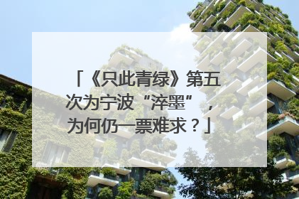 《只此青绿》第五次为宁波“淬墨”，为何仍一票难求？
