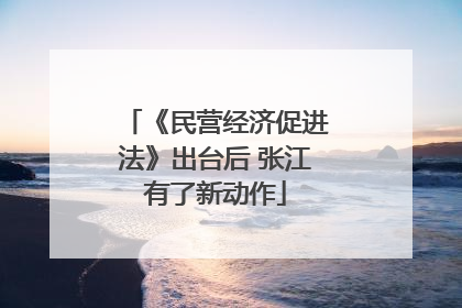 《民营经济促进法》出台后 张江有了新动作
