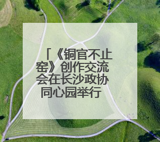 《铜官不止窑》创作交流会在长沙政协同心园举行 陈刚出席