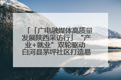 「广电融媒体高质量发展陕西采访行」“产业+就业”双轮驱动 白河县茅坪社区打造易地搬迁后扶新样本
