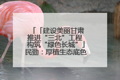 「建设美丽甘肃 推进“三北”工程 构筑“绿色长城”」民勤：厚植生态底色 筑牢绿色屏障