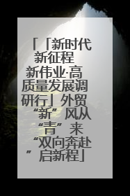 「新时代 新征程 新伟业·高质量发展调研行」外贸“新”风从“青”来 “双向奔赴”启新程