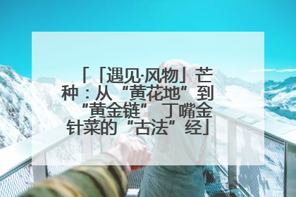 「遇见·风物」芒种：从“黄花地”到“黄金链” 丁嘴金针菜的“古法”经