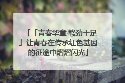 「青春华章·赣劲十足」让青春在传承红色基因的征途中熠熠闪光