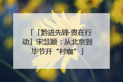 「黔进先锋·贵在行动」宋慧颖：从北京到毕节开“村咖”