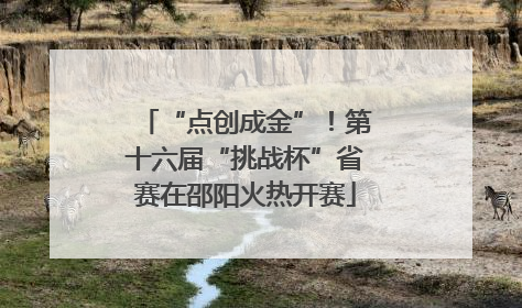 “点创成金”！第十六届“挑战杯”省赛在邵阳火热开赛