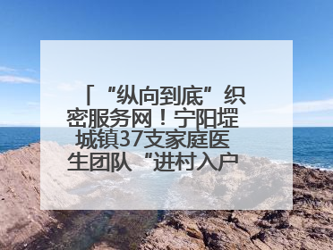 “纵向到底”织密服务网！宁阳堽城镇37支家庭医生团队“进村入户”，让健康政策“落地生根”