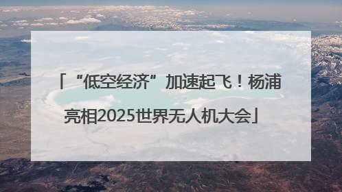 “低空经济”加速起飞！杨浦亮相2025世界无人机大会