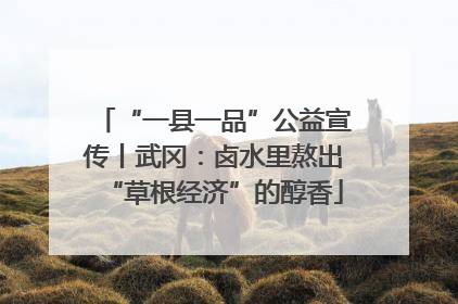 “一县一品”公益宣传丨武冈：卤水里熬出“草根经济”的醇香