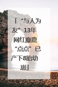 “与人为友”13年 网红麋鹿“点点”已产下8胎幼崽