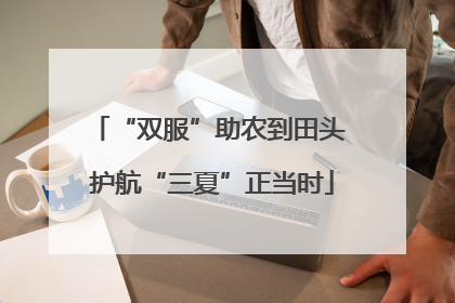“双服”助农到田头 护航“三夏”正当时