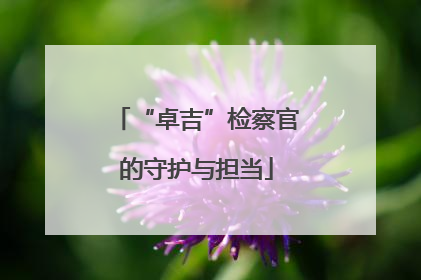 “卓吉”检察官的守护与担当