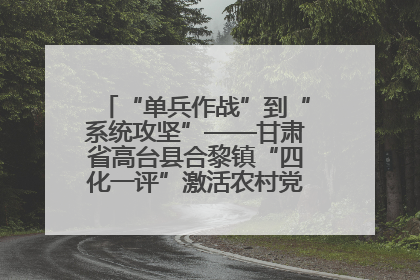 “单兵作战”到“系统攻坚”——甘肃省高台县合黎镇“四化一评”激活农村党员管理新引擎