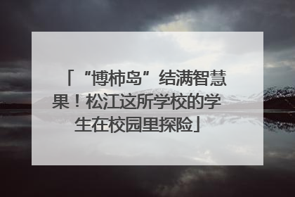 “博柿岛”结满智慧果！松江这所学校的学生在校园里探险