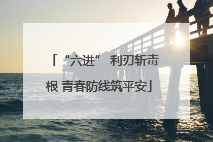 “六进” 利刃斩毒根 青春防线筑平安