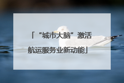 “城市大脑”激活航运服务业新动能