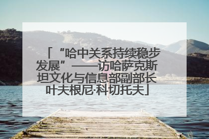 “哈中关系持续稳步发展”——访哈萨克斯坦文化与信息部副部长叶夫根尼·科切托夫