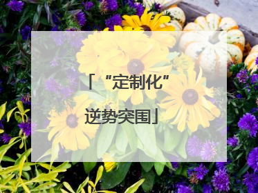 “定制化” 逆势突围
