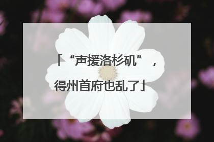 “声援洛杉矶”，得州首府也乱了