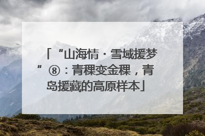 “山海情・雪域援梦”⑧：青稞变金稞，青岛援藏的高原样本