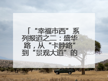 “幸福市西”系列报道之二：盛华路，从“卡脖路”到“景观大道”的华丽转身