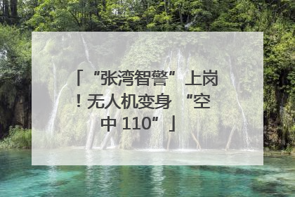 “张湾智警”上岗！无人机变身 “空中 110”