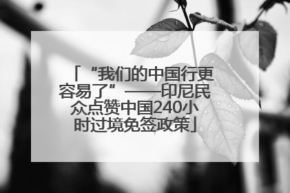 “我们的中国行更容易了”——印尼民众点赞中国240小时过境免签政策