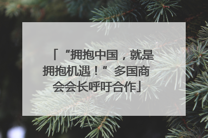“拥抱中国，就是拥抱机遇！”多国商会会长呼吁合作
