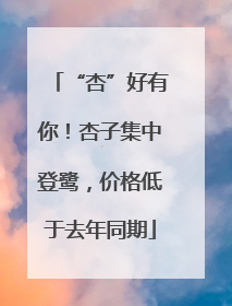 “杏”好有你！杏子集中登鹭，价格低于去年同期