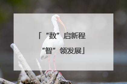 “数”启新程 “智”领发展