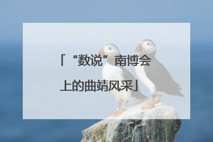 “数说”南博会上的曲靖风采