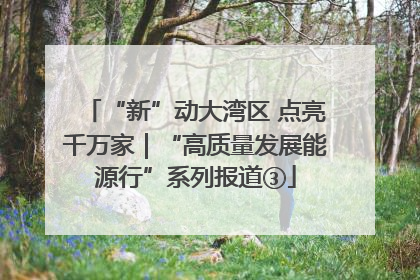 “新”动大湾区 点亮千万家｜“高质量发展能源行”系列报道③