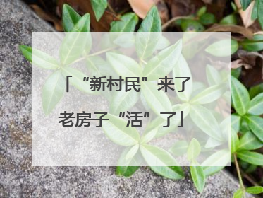“新村民”来了 老房子“活”了