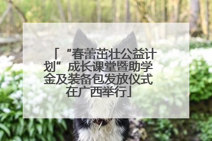“春蕾茁壮公益计划”成长课堂暨助学金及装备包发放仪式在广西举行