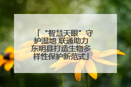“智慧天眼”守护湿地 联通助力东明县打造生物多样性保护新范式