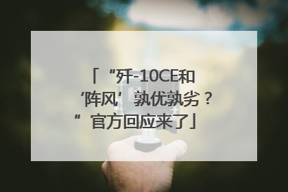 “歼-10CE和‘阵风’孰优孰劣？”官方回应来了