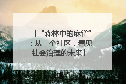 “森林中的麻雀”：从一个社区，看见社会治理的未来