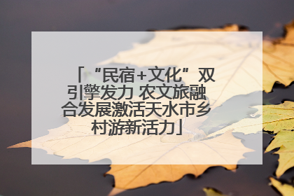 “民宿+文化”双引擎发力 农文旅融合发展激活天水市乡村游新活力