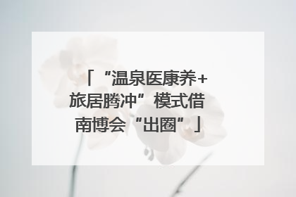 “温泉医康养+旅居腾冲”模式借南博会“出圈”
