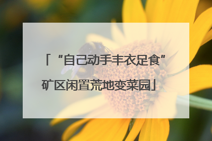 “自己动手丰衣足食”矿区闲置荒地变菜园