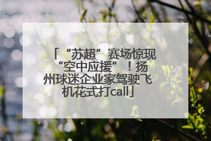 “苏超”赛场惊现 “空中应援”！扬州球迷企业家驾驶飞机花式打call