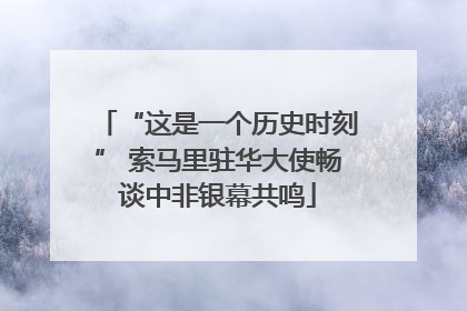 “这是一个历史时刻” 索马里驻华大使畅谈中非银幕共鸣
