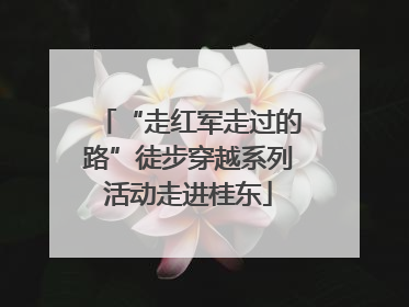 “走红军走过的路”徒步穿越系列活动走进桂东