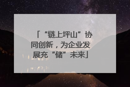 “链上坪山”协同创新，为企业发展充“储”未来