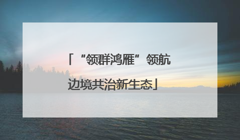 “领群鸿雁”领航边境共治新生态