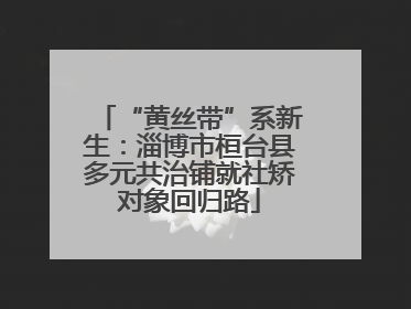 “黄丝带”系新生：淄博市桓台县多元共治铺就社矫对象回归路