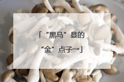 “黑马”县的“金”点子→