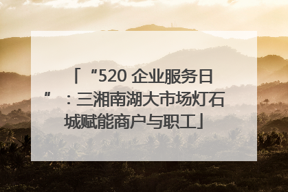 “520 企业服务日”：三湘南湖大市场灯石城赋能商户与职工