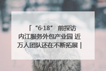 “6·18” 前探访内江服务外包产业园 近万人团队还在不断拓展｜内江东兴“红”在哪⑤