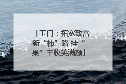玉门：拓宽致富新“柿”路 挂“果”丰收笑满颜